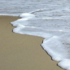 NC beach sand and foam